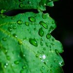 皇冠搏彩平台最新动态与安全合规指引指南 60lmo