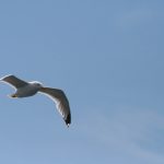 90660开奖结果最新公布,快来看看你中奖了吗? 76f35gr4v