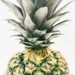 918开奖现场全程高清直播精彩回顾 8v89gd