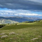 908888现场开奖最新结果查询与开奖详情 h5wbor2k3