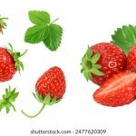 928开奖前后出,揭秘幸运号码诞生时刻 hns1m