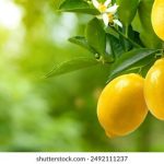 9243开奖结果揭晓,幸运号码震撼公布 vxoq3