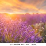 NBA篮球赛事高清视频直播网站全程免费在线观看 rzw0vet5pt