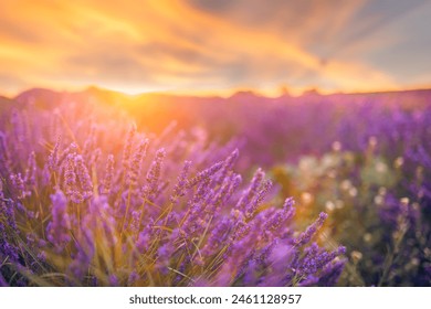 NBA篮球赛事高清视频直播网站全程免费在线观看 NBA篮球赛事高清视频直播网站全程免费在线观看